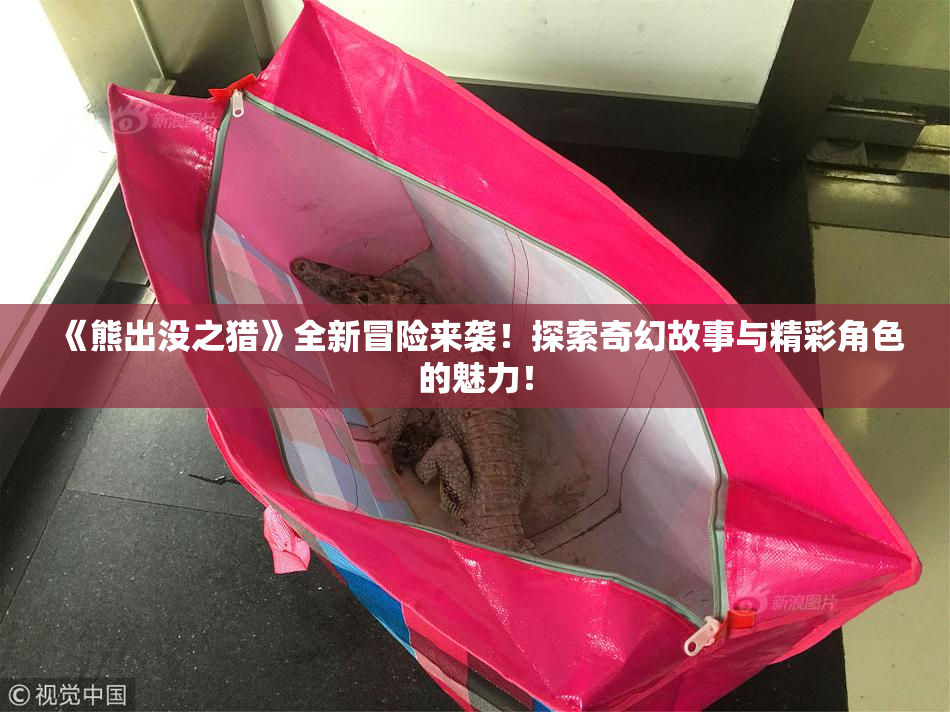 《熊出没之猎》全新冒险来袭！探索奇幻故事与精彩角色的魅力！