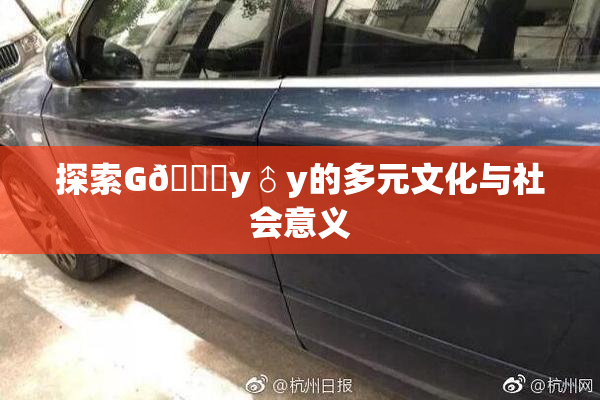 探索G🈚y♂y的多元文化与社会意义