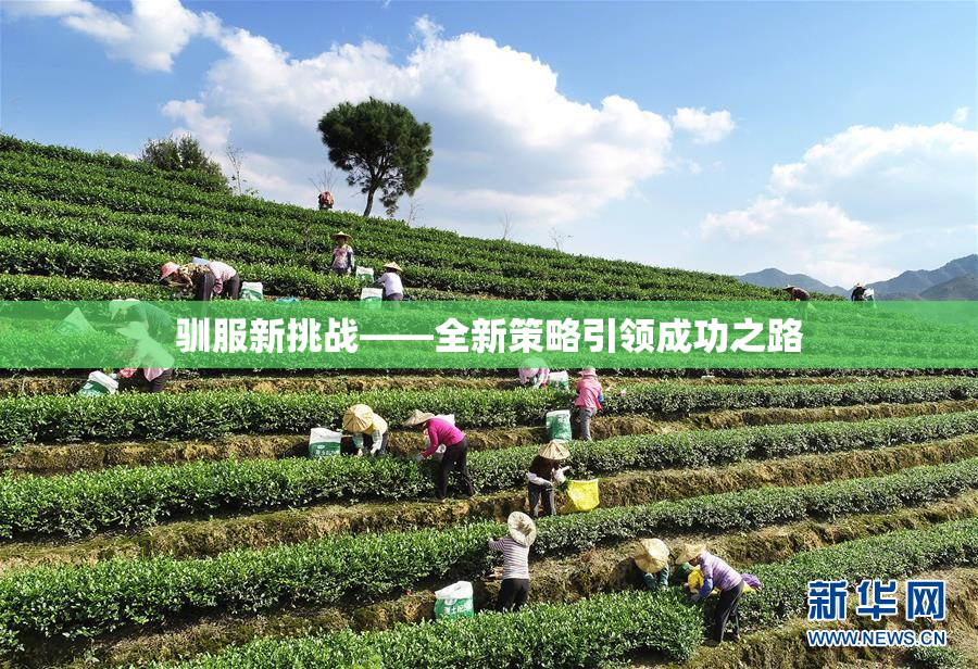 驯服新挑战——全新策略引领成功之路