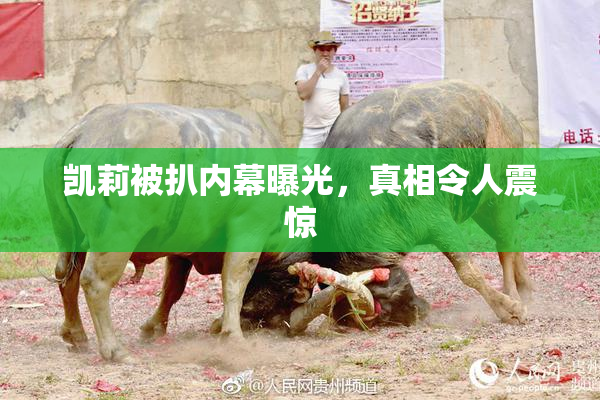 凯莉被扒内幕曝光，真相令人震惊