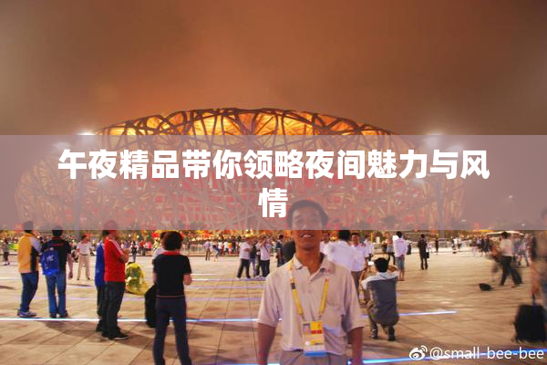 午夜精品带你领略夜间魅力与风情