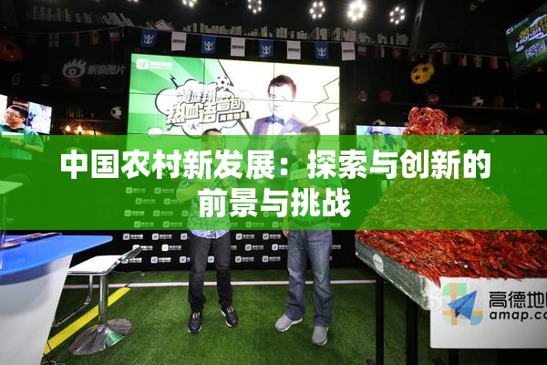 中国农村新发展：探索与创新的前景与挑战