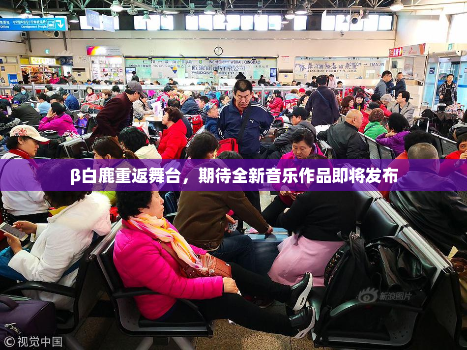 β白鹿重返舞台，期待全新音乐作品即将发布