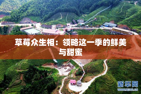 草莓众生相：领略这一季的鲜美与甜蜜