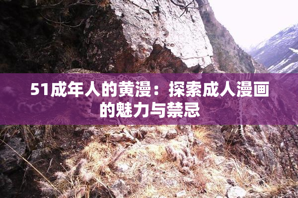 51成年人的黄漫：探索成人漫画的魅力与禁忌