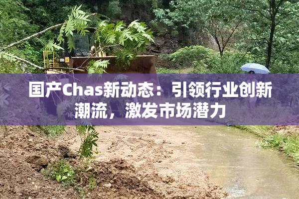 国产Chas新动态：引领行业创新潮流，激发市场潜力