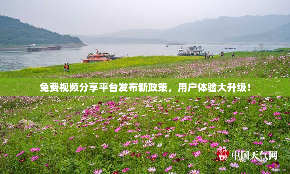 免费视频分享平台发布新政策，用户体验大升级！