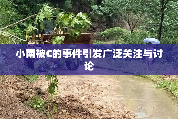 小南被C的事件引发广泛关注与讨论