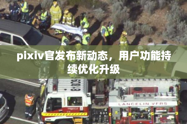 pixiv官发布新动态，用户功能持续优化升级