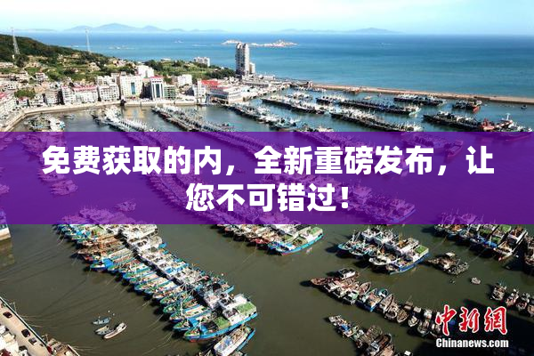 免费获取的内，全新重磅发布，让您不可错过！