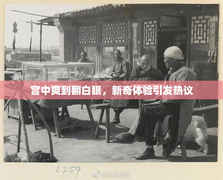 宫中爽到翻白眼，新奇体验引发热议