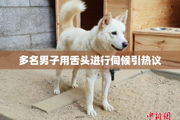 多名男子用舌头进行伺候引热议