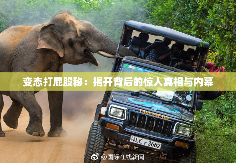 变态打屁股秘：揭开背后的惊人真相与内幕