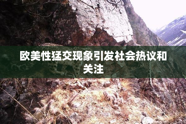 欧美性猛交现象引发社会热议和关注