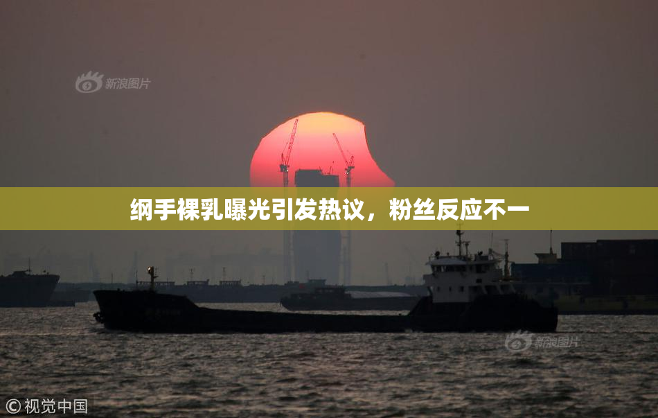 纲手裸乳曝光引发热议，粉丝反应不一