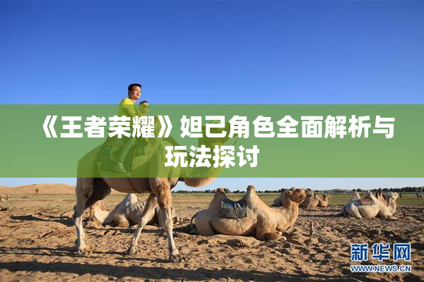 《王者荣耀》妲己角色全面解析与玩法探讨
