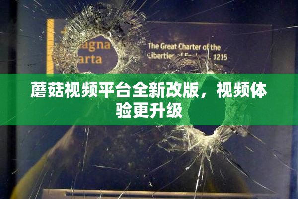 蘑菇视频平台全新改版，视频体验更升级