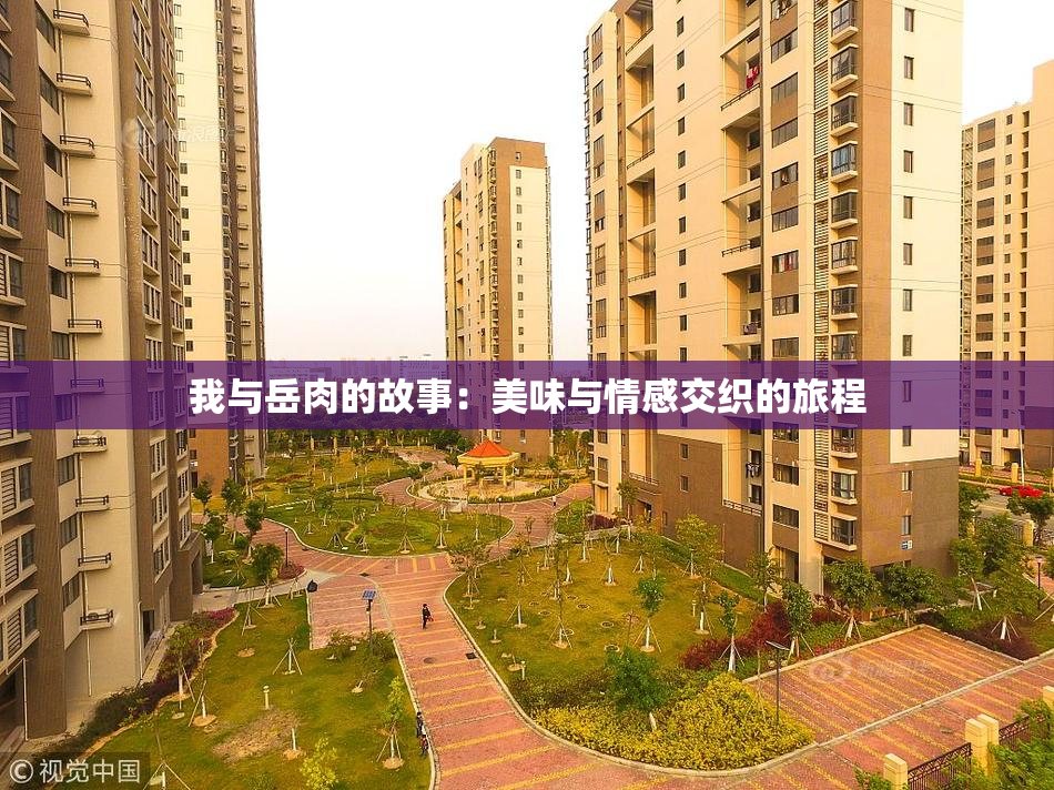 我与岳肉的故事：美味与情感交织的旅程