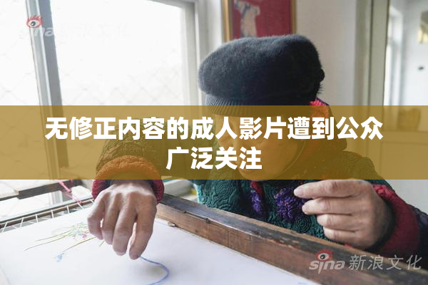 无修正内容的成人影片遭到公众广泛关注