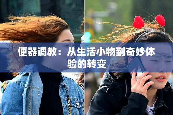 便器调教：从生活小物到奇妙体验的转变