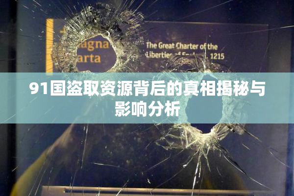 91国盗取资源背后的真相揭秘与影响分析