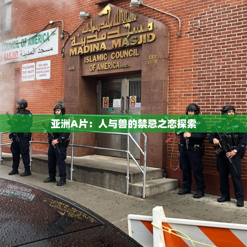 亚洲A片：人与兽的禁忌之恋探索