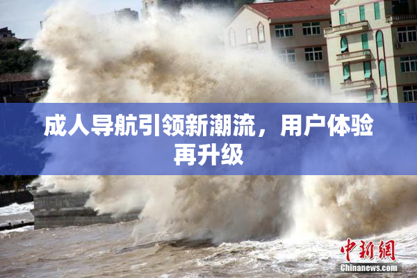 成人导航引领新潮流，用户体验再升级
