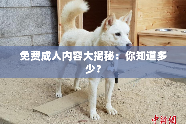 免费成人内容大揭秘：你知道多少？