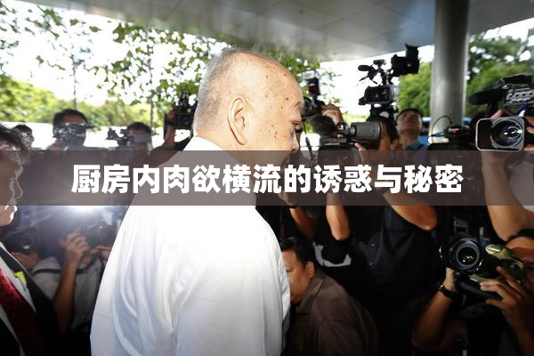 厨房内肉欲横流的诱惑与秘密