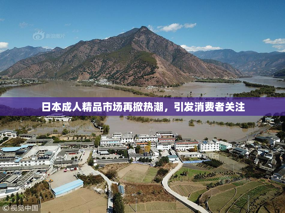 日本成人精品市场再掀热潮，引发消费者关注