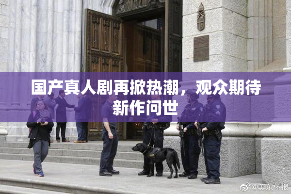 国产真人剧再掀热潮，观众期待新作问世