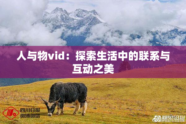 人与物vid：探索生活中的联系与互动之美