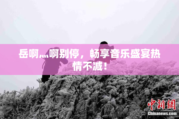 岳啊灬啊别停，畅享音乐盛宴热情不减！