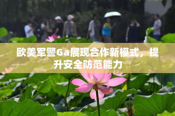 欧美军警Ga展现合作新模式，提升安全防范能力