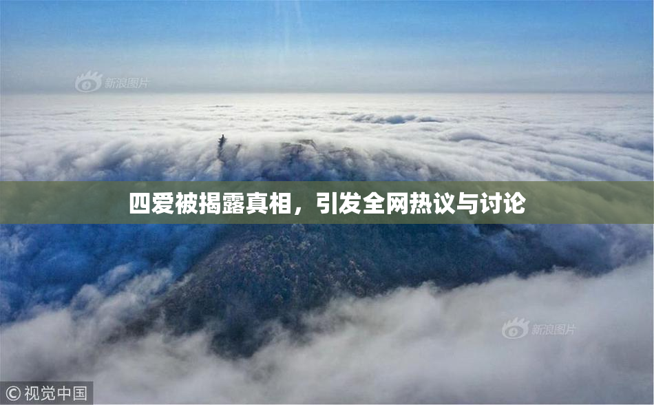 四爱被揭露真相，引发全网热议与讨论
