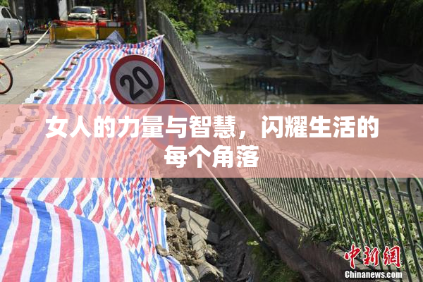 女人的力量与智慧，闪耀生活的每个角落