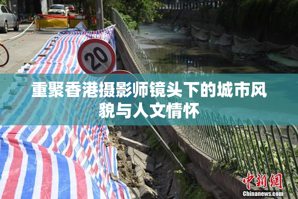 重聚香港摄影师镜头下的城市风貌与人文情怀
