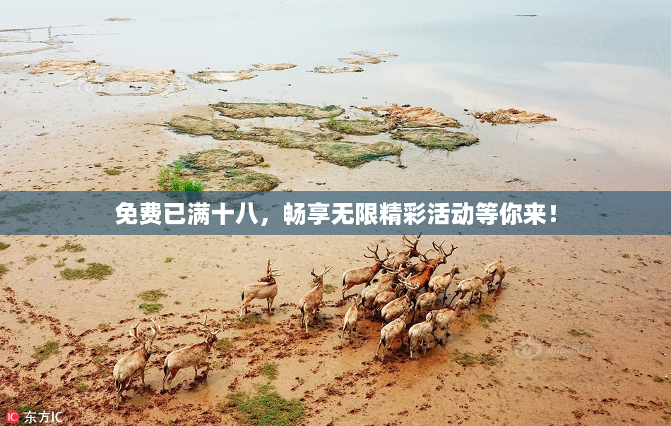 免费已满十八，畅享无限精彩活动等你来！