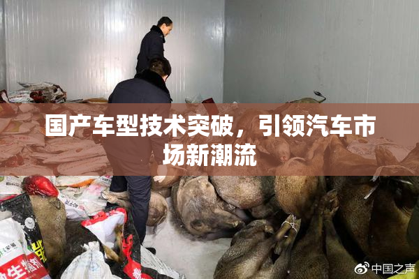 国产车型技术突破，引领汽车市场新潮流