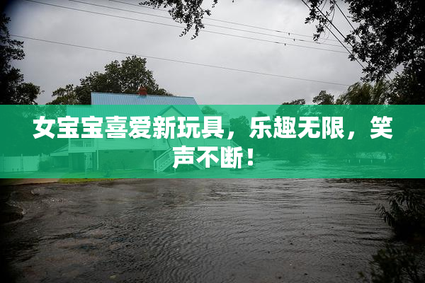 女宝宝喜爱新玩具，乐趣无限，笑声不断！