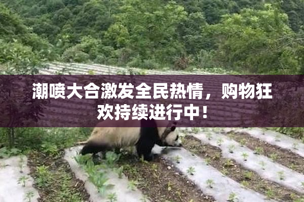 潮喷大合激发全民热情，购物狂欢持续进行中！