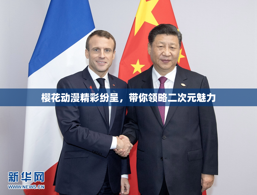 樱花动漫精彩纷呈，带你领略二次元魅力