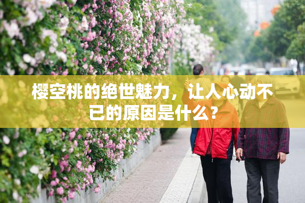 樱空桃的绝世魅力，让人心动不已的原因是什么？