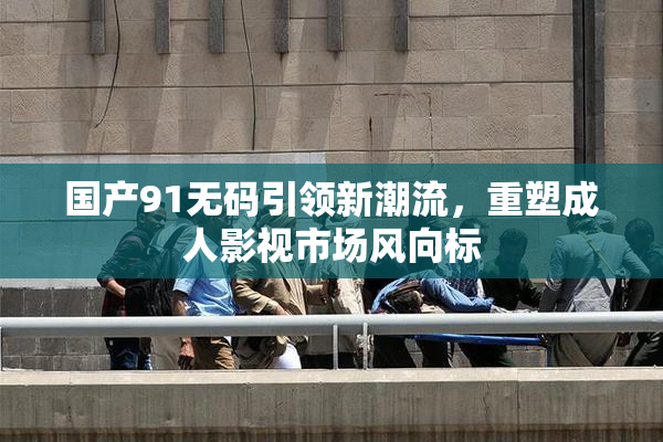 国产91无码引领新潮流，重塑成人影视市场风向标