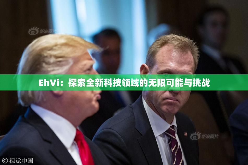 EhVi：探索全新科技领域的无限可能与挑战
