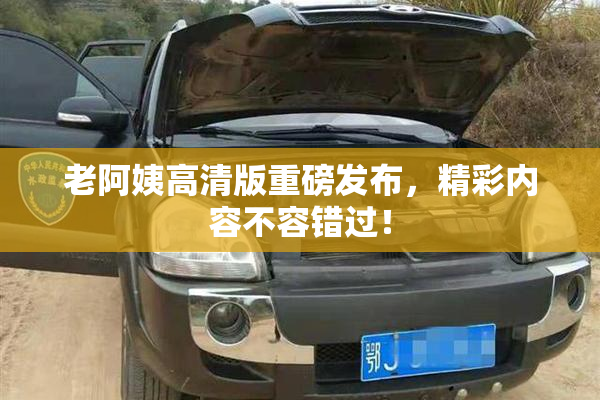 老阿姨高清版重磅发布，精彩内容不容错过！