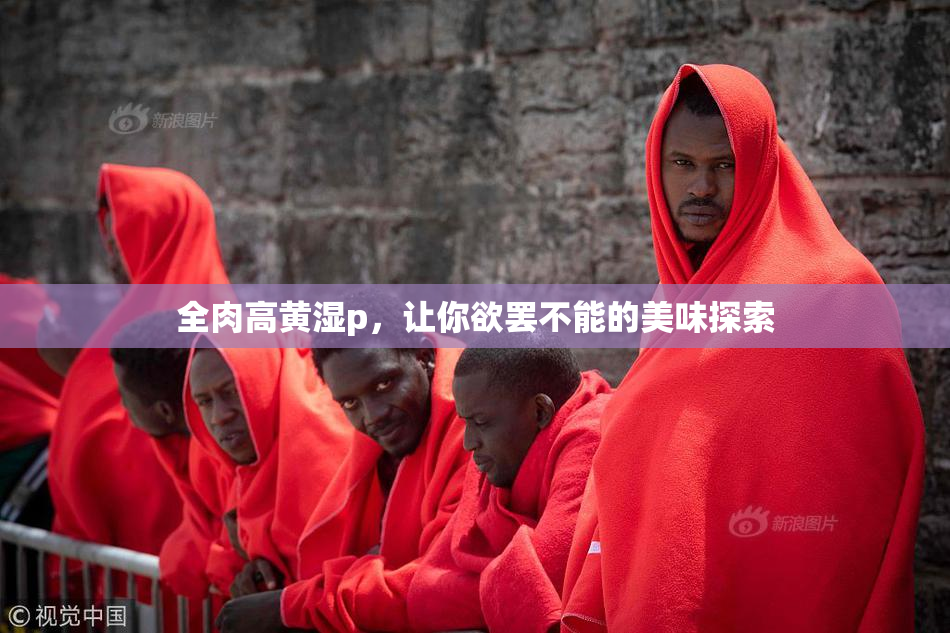 全肉高黄湿p，让你欲罢不能的美味探索