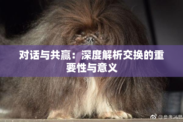 对话与共赢：深度解析交换的重要性与意义