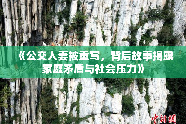 《公交人妻被重写，背后故事揭露家庭矛盾与社会压力》