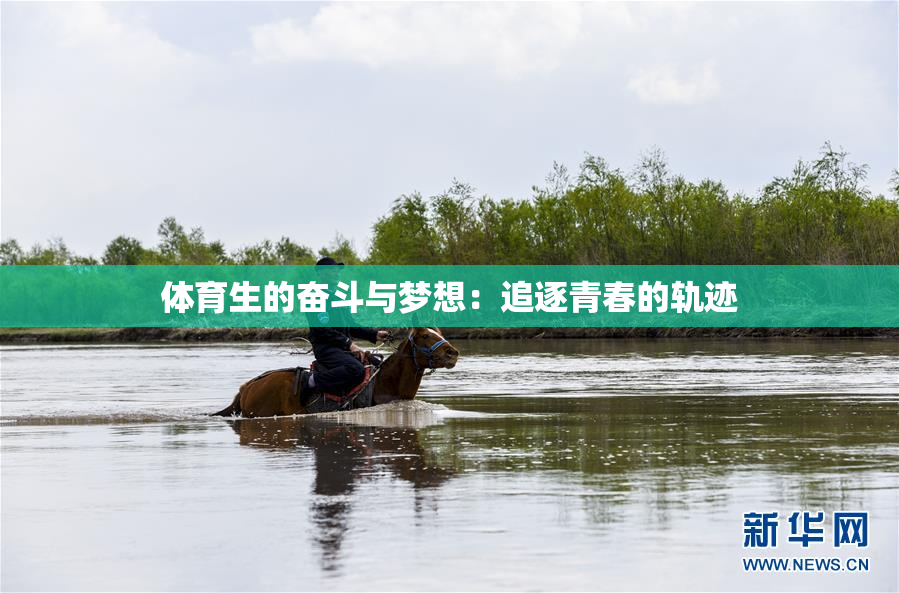 体育生的奋斗与梦想：追逐青春的轨迹